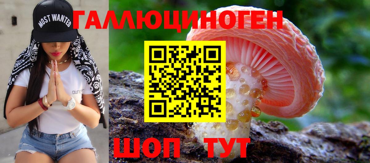 Галлюциногенные грибы Psilocybe Кировск