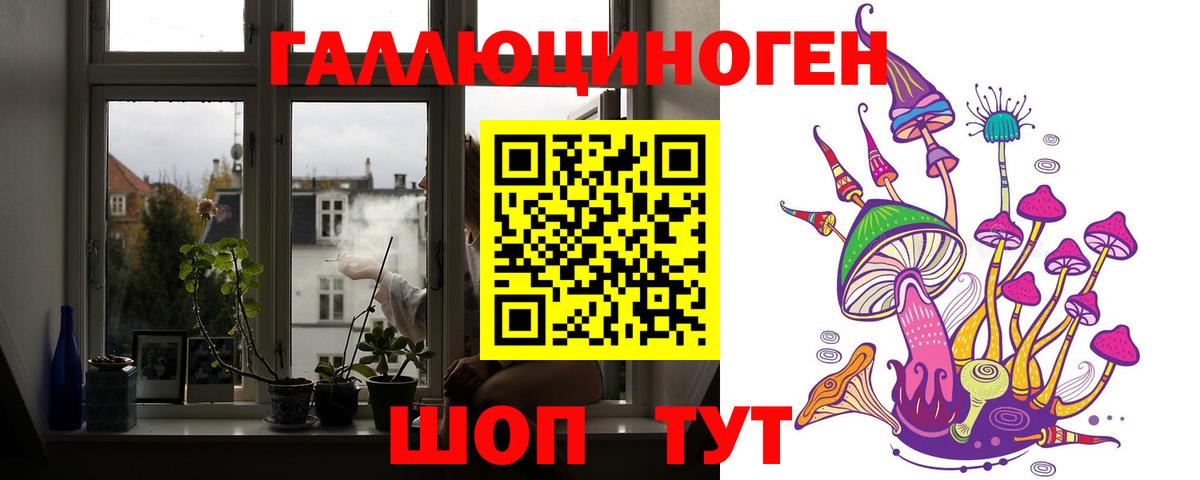 Псилоцибиновые грибы GOLDEN TEACHER  Вход с VPN  Кировск 